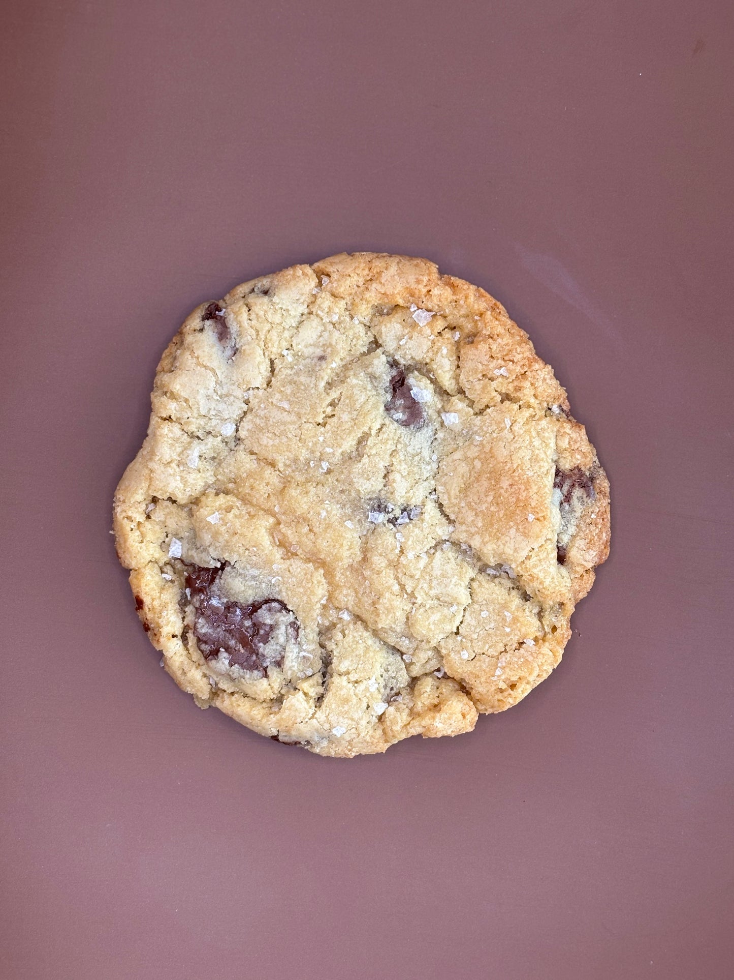 Dark Chocolate Sea Salt (aka "The OG")